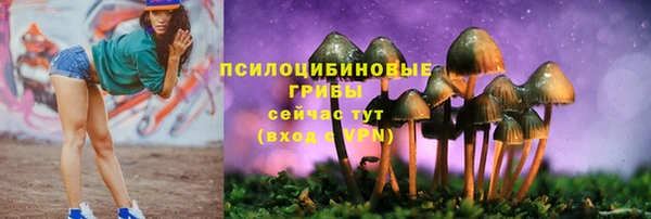 твердый Вязники