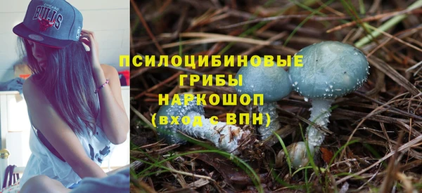 твердый Вязники