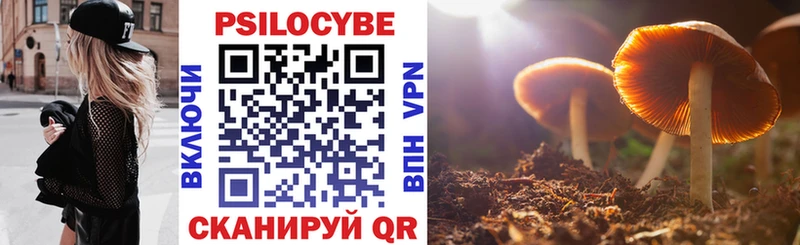 omg зеркало  Мценск  Псилоцибиновые грибы мухоморы 