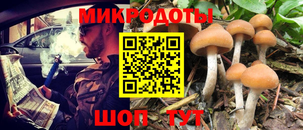наркота  Псилоцибиновые грибы Psilocybine cubensis  Вход с VPN  Мценск 