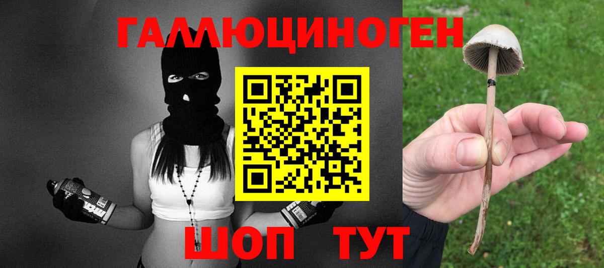 Псилоцибиновые грибы мицелий Мценск